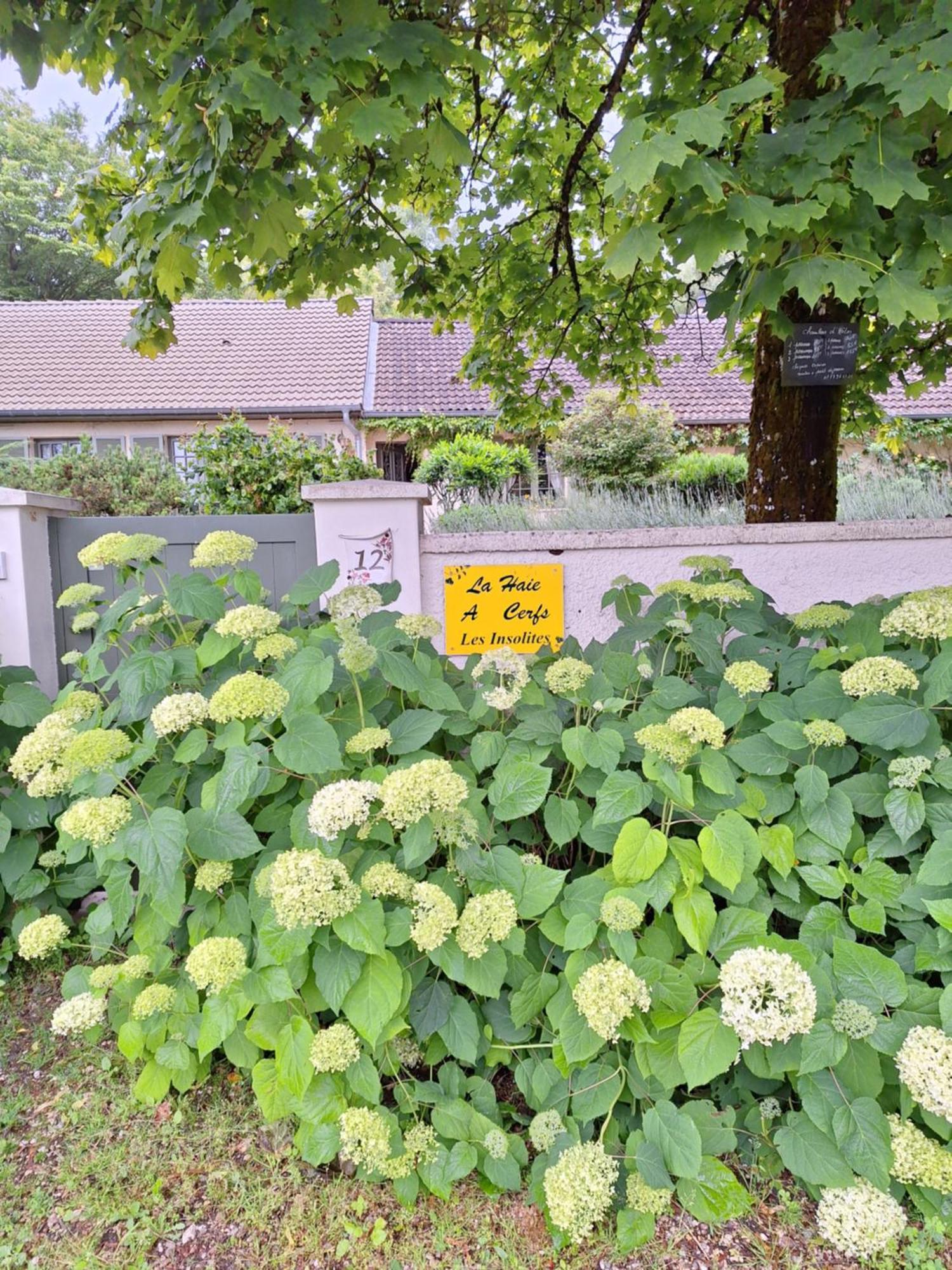 La Haie A Cerf Watronville Екстериор снимка